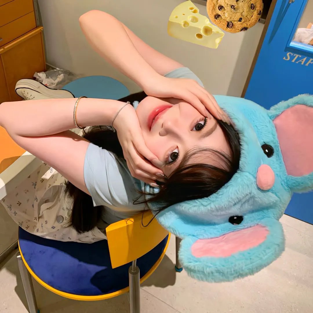随心所问